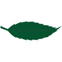 Labbeemint leaf square